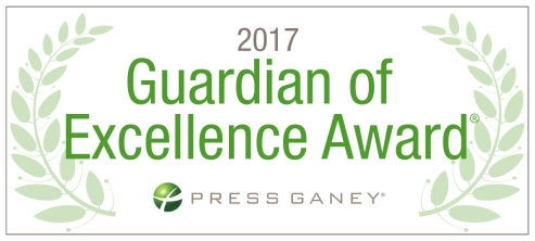 2017 Guardian of Excellence Award